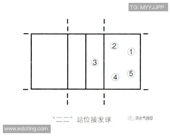 排球新手必看：提升灵活性的全面入门攻略与实用技巧分享